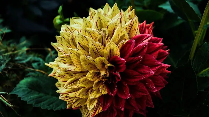 Beautiful Nature Theme Preview Image