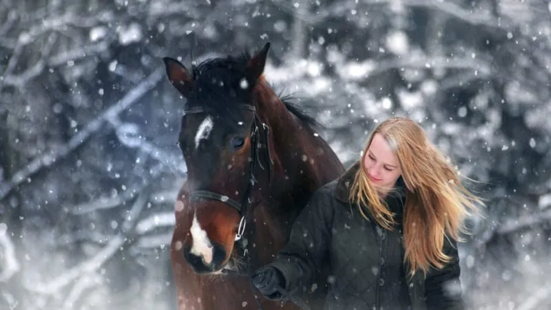 Blonde Women Theme Preview Image