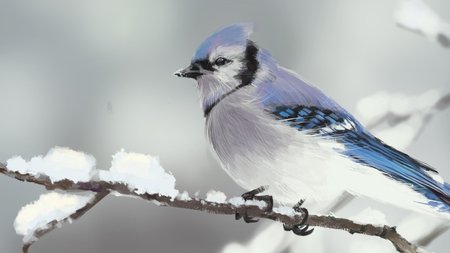 Blue Jay Theme Preview Image