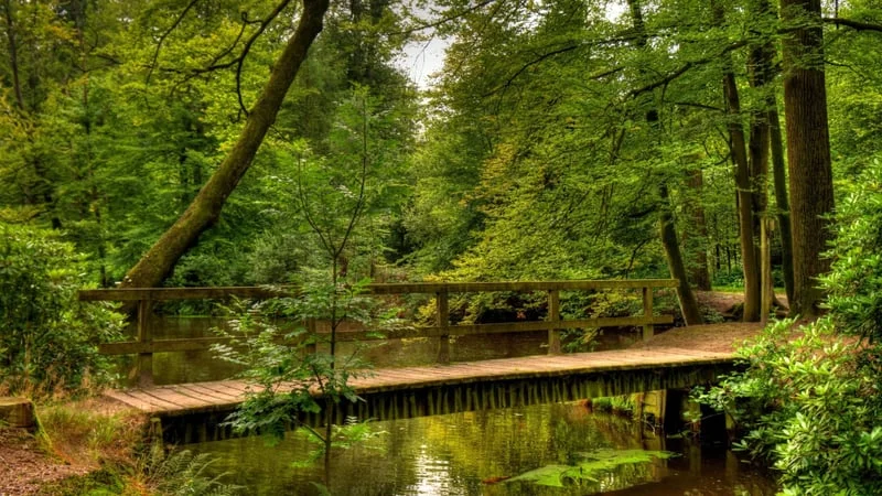 Bridge Theme Preview Image