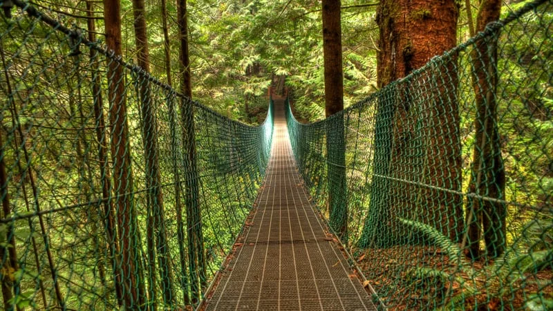 Bridge Theme Preview Image