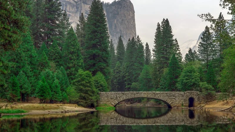 Bridge Theme Preview Image