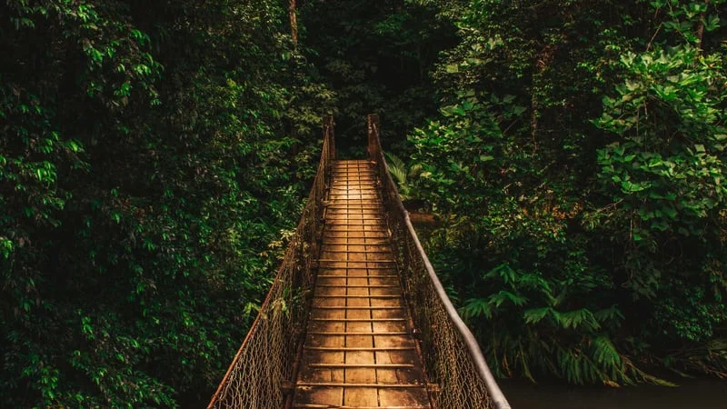 Bridge Theme Preview Image