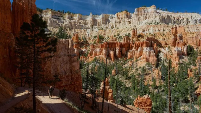 Bryce Canyon National Park Theme Preview Image
