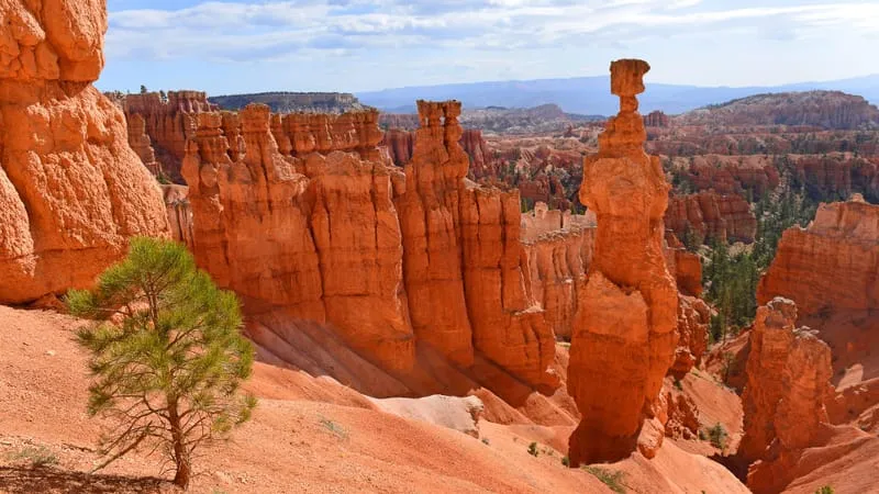 Bryce Canyon National Park Theme Preview Image