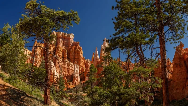 Bryce Canyon National Park Theme Preview Image