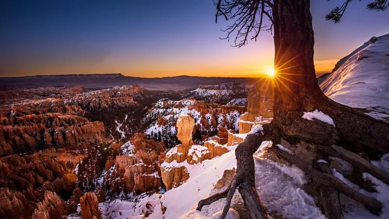 Bryce Canyon National Park Theme Preview Image