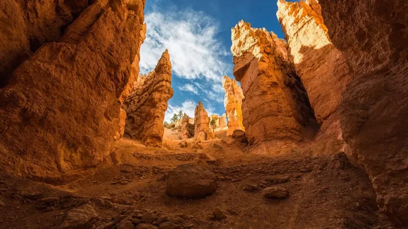 Bryce Canyon National Park Theme Preview Image