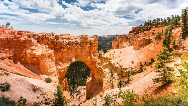 Bryce Canyon National Park Theme Preview Image