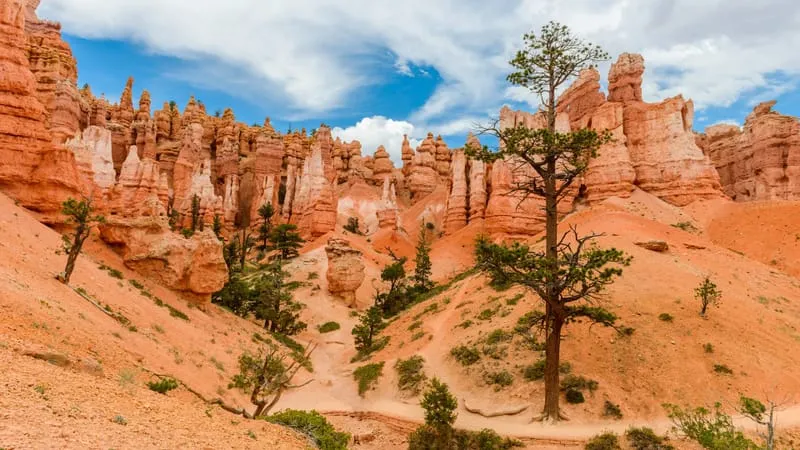 Bryce Canyon National Park Theme Preview Image