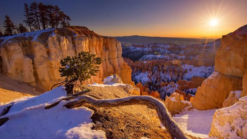 Bryce Canyon National Park Theme Preview Image