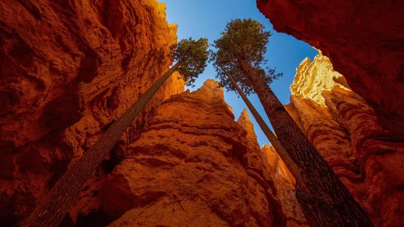Bryce Canyon National Park Theme Preview Image