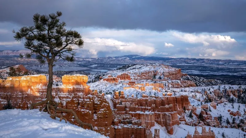 Bryce Canyon National Park Theme Preview Image