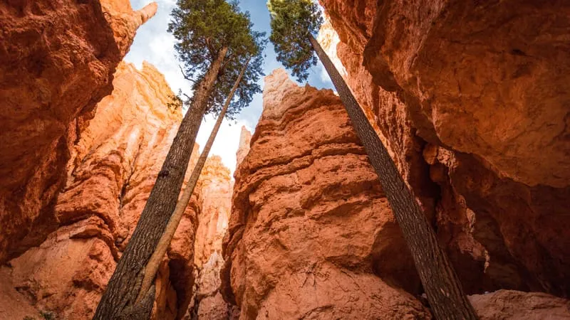 Bryce Canyon National Park Theme Preview Image