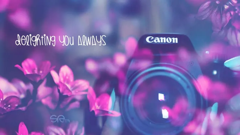 Canon Theme Preview Image