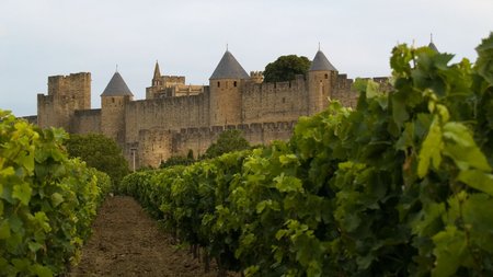 Carcassonne Theme Preview Image
