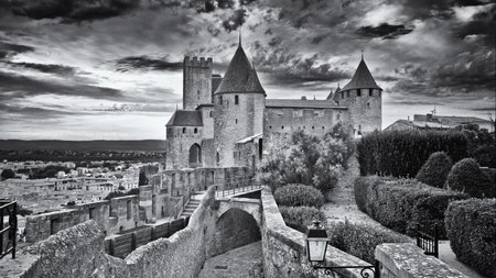 Carcassonne Theme Preview Image