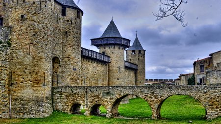 Carcassonne Theme Preview Image