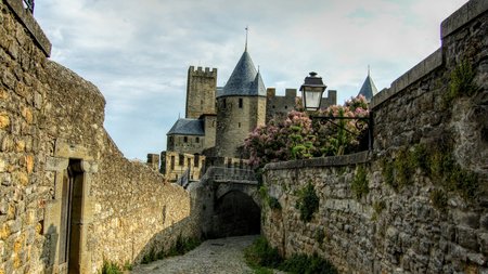 Carcassonne Theme Preview Image