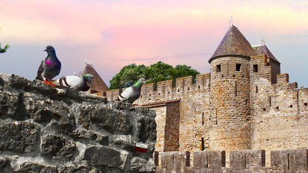 Carcassonne Theme Preview Image