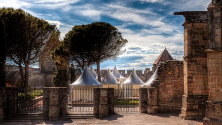 Carcassonne Theme Preview Image