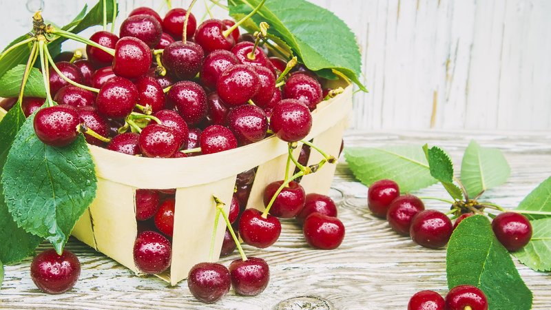 Cherry Theme Preview Image