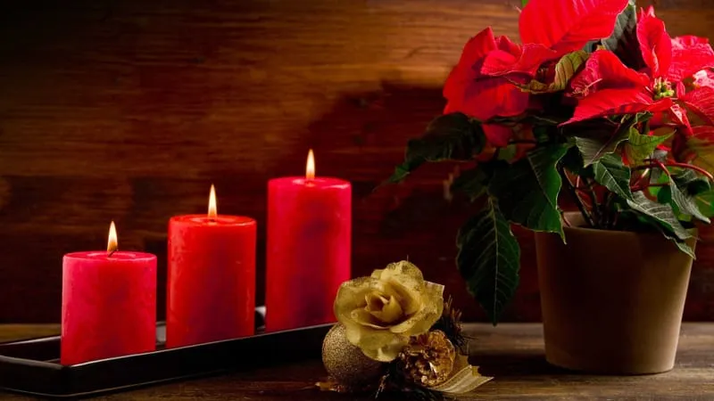 Christmas Theme Preview Image