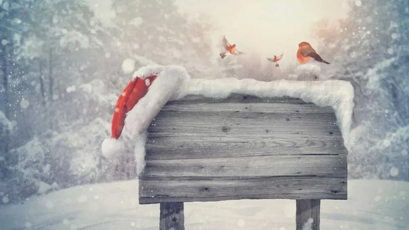 Christmas Theme Preview Image