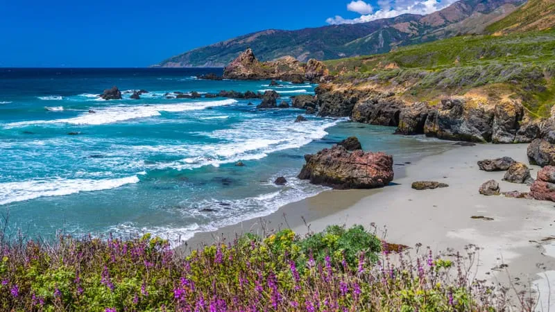 Coastline Theme Preview Image