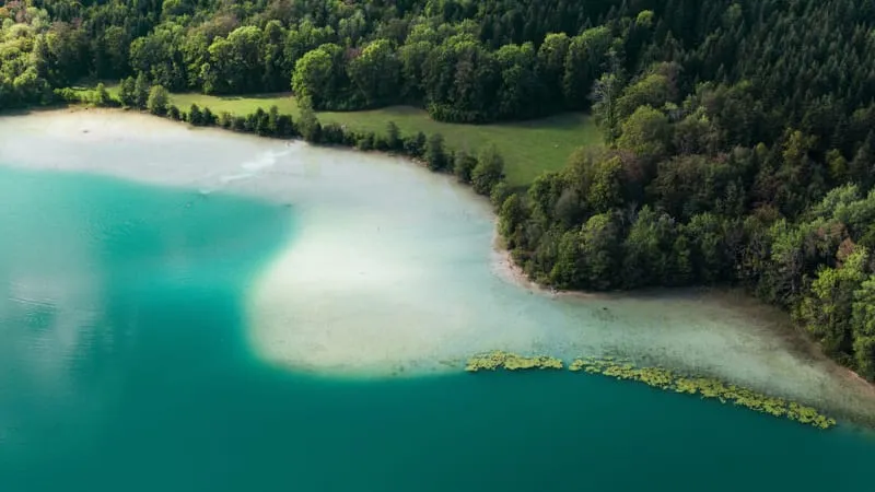 Coastline Theme Preview Image