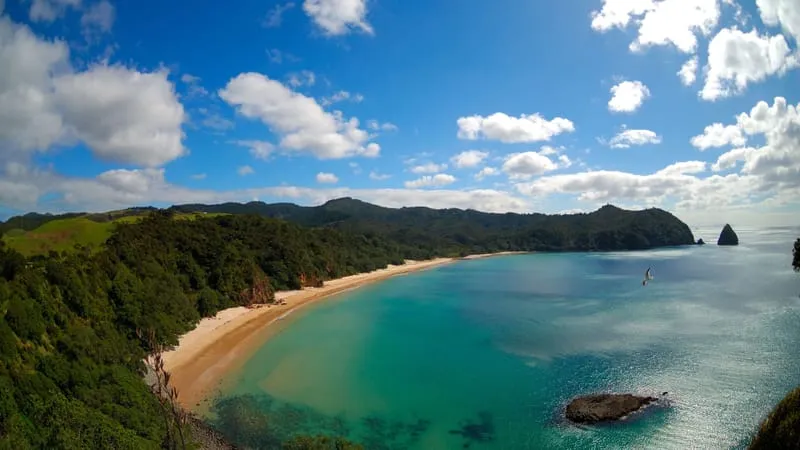 Coastline Theme Preview Image