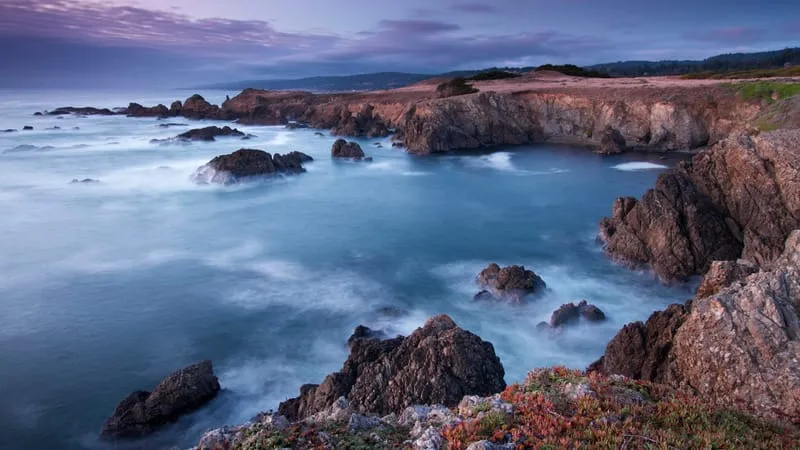 Coastline Theme Preview Image