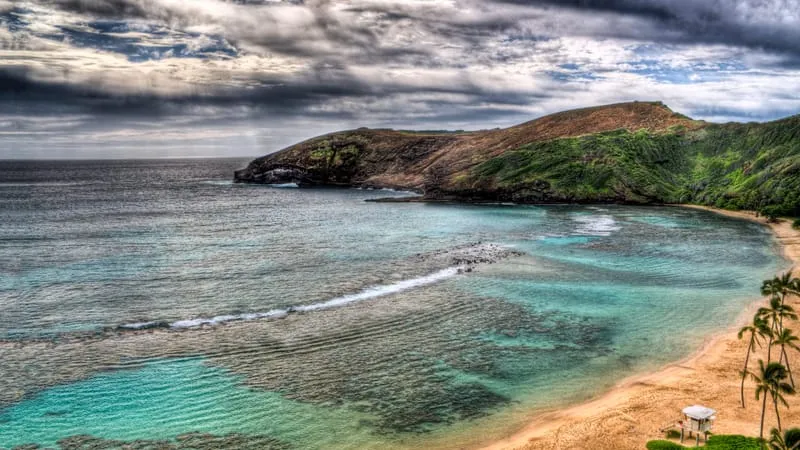 Coastline Theme Preview Image