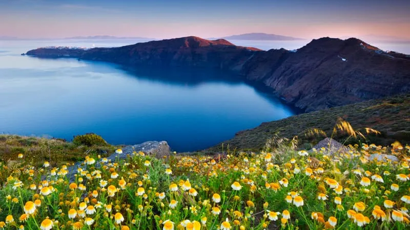 Coastline Theme Preview Image