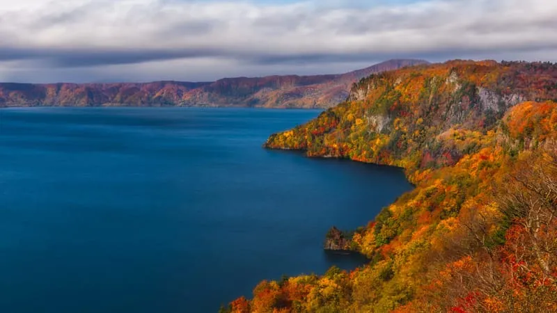 Coastline Theme Preview Image