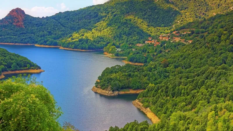 Coastline Theme Preview Image