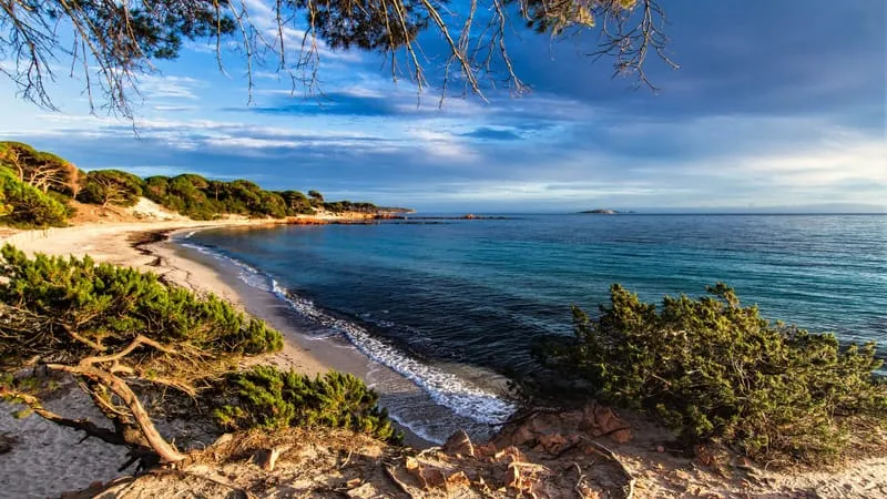 Coastline Theme Preview Image