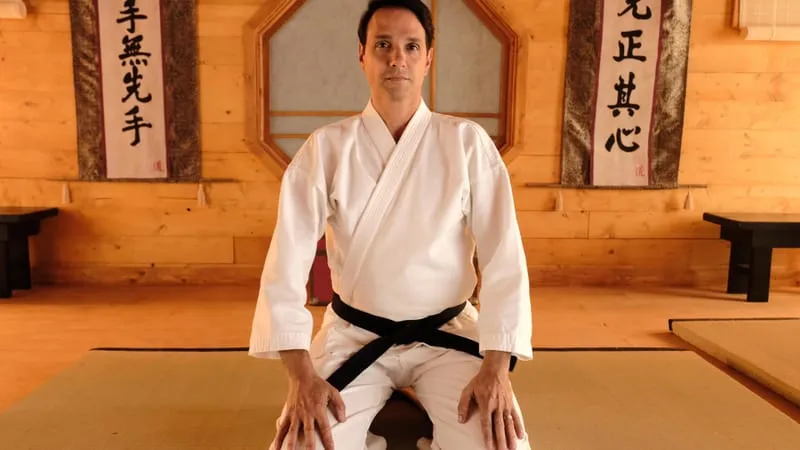 Cobra Kai Theme Preview Image