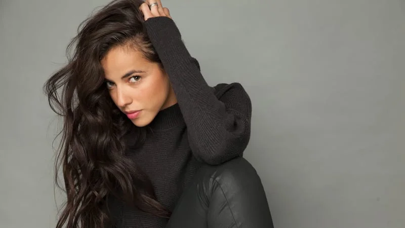 Cristina Rodlo Theme Preview Image