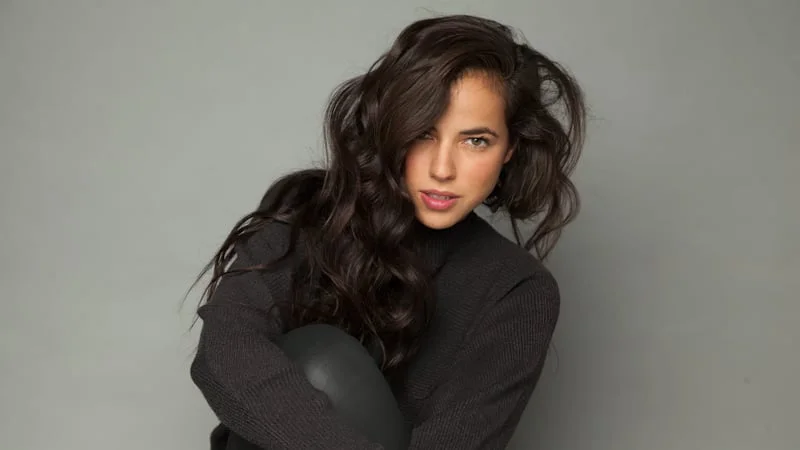 Cristina Rodlo Theme Preview Image