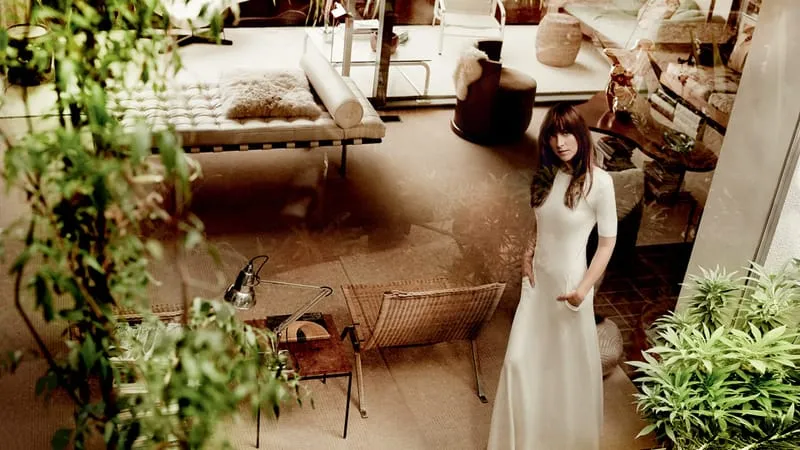 Dakota Johnson Theme Preview Image