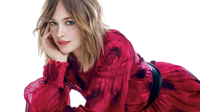 Dakota Johnson Theme Preview Image