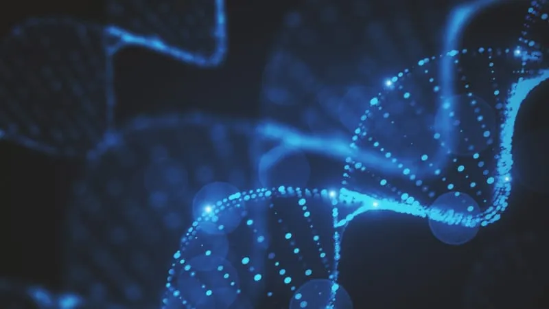 Digital DNA Theme Preview Image