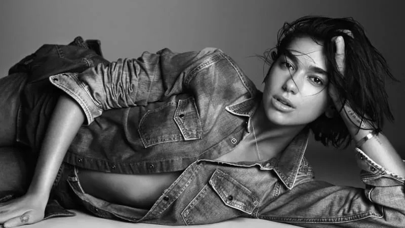 Dua Lipa Theme Preview Image