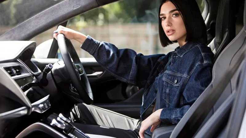 Dua Lipa Theme Preview Image