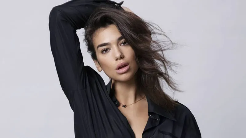 Dua Lipa Theme Preview Image
