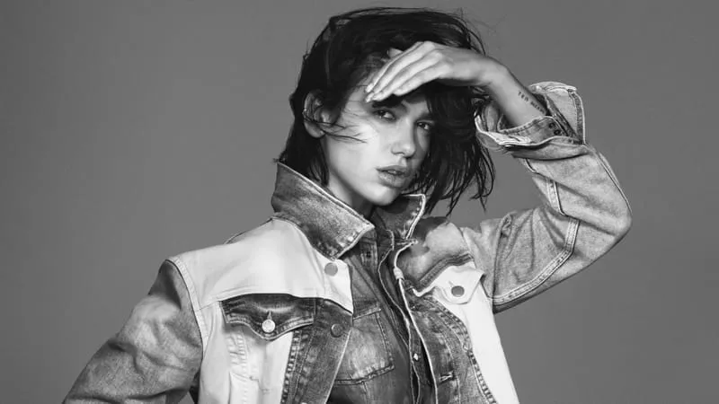 Dua Lipa Theme Preview Image