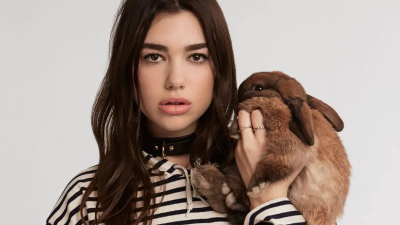 Dua Lipa Theme Preview Image