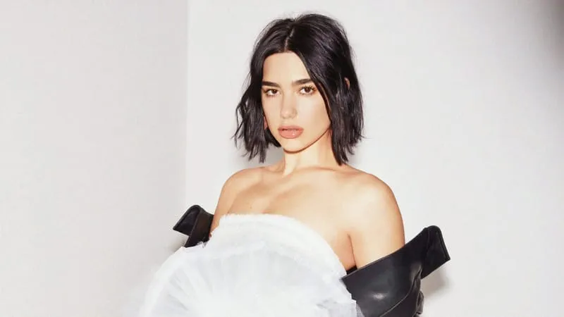 Dua Lipa Theme Preview Image