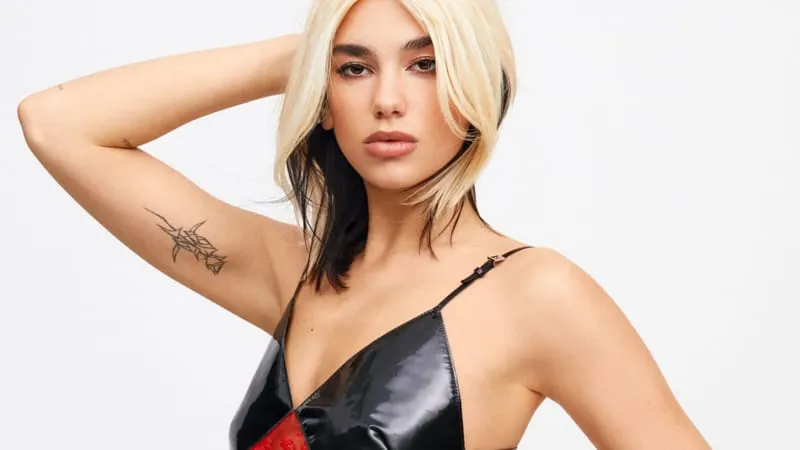 Dua Lipa Theme Preview Image